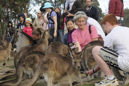 East Coast Natureworld - Accommodation Directory 4