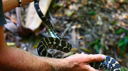 Queensland Day Tours - Accommodation Directory 1