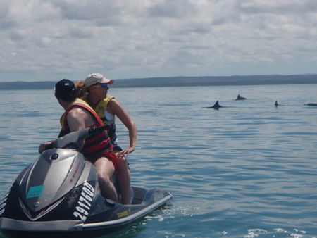Aquavue Cafe Watersports - Accommodation Directory 5