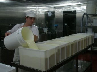 Witches Chase Cheese Co - Accommodation Directory 1