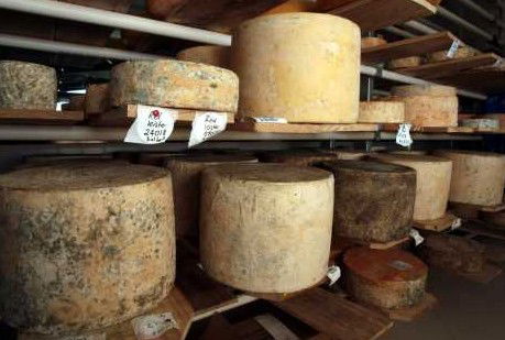 Witches Chase Cheese Co - Accommodation Directory 3