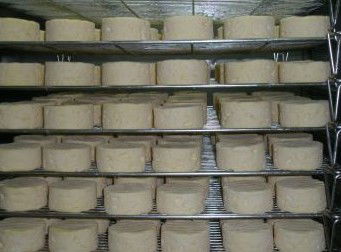 Witches Chase Cheese Co - Accommodation Directory 5