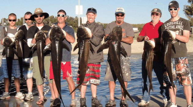 BKs Gold Coast Fishing Charters - Accommodation Directory 1