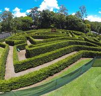 Bellingham Maze - Accommodation Directory