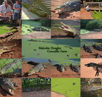 The Malcolm Douglas Crocodile Park - Accommodation Directory