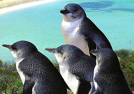  Accommodation Directory