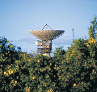 Big Dish - Accommodation Directory