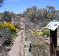 Christmas Rock Walk - Accommodation Directory