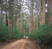 Boranup Drive - Accommodation Directory