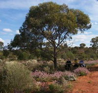 Karlkurla Bushland Park - Accommodation Directory