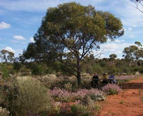 Karlkurla Bushland Park - Accommodation Directory 0