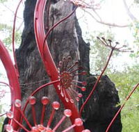 Understory Art In Nature - Accommodation Directory