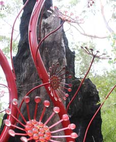 Understory Art In Nature - Accommodation Directory 0