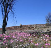 Talgomine Reserve - Accommodation Directory