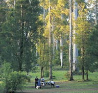Big Brook Arboretum - Accommodation Directory
