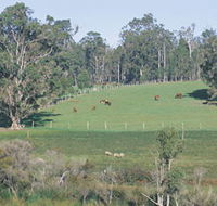 Scenic Drives - Bunbury Collie Donnybrook - Accommodation Directory