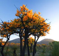 Cape Le Grand National Park - Accommodation Directory