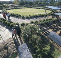 Kojonup Rose Maze - Accommodation Directory