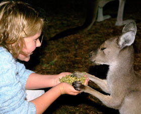Discovery Bay's Walk On The Wild Side - Accommodation Directory 0
