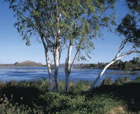 Celebrity Tree Park - Accommodation Directory 0