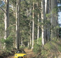 Scotsdale Tourist Drive - Accommodation Directory