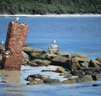 Whalers Beach - Accommodation Directory