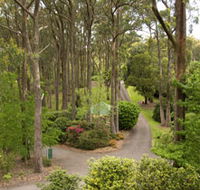 Mount Lofty Botanic Garden - Accommodation Directory