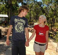 Crooked Brook Forest - Accommodation Directory
