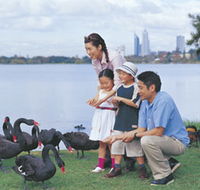 Lake Monger - Accommodation Directory