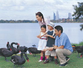 Lake Monger - Accommodation Directory 0