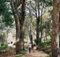 Law Trail and Lotterywest Federation Walkway Kings Park - Accommodation Directory