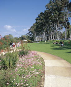 Kings Park Free Guided Walks - Accommodation Directory 0