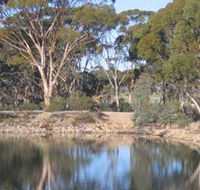 Merredin Railway Dam - Accommodation Directory