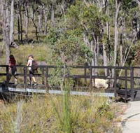 Forest Path Crooked Brook - Accommodation Directory