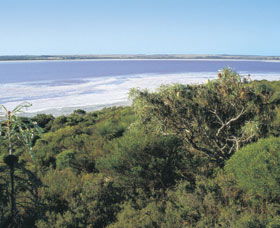 Pink Lake - Accommodation Directory 0
