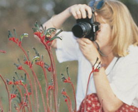 Gingin Cemetery - Accommodation Directory 0
