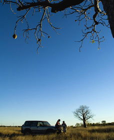 Joonjoo Botanical Trail - Accommodation Directory 0