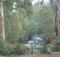 Cascades - Accommodation Directory