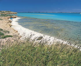 Coral Bay Walk Way - Accommodation Directory 0