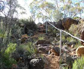Leinster WA Accommodation Directory