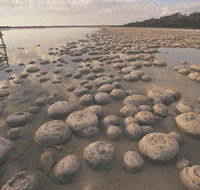Yalgorup National Park - Accommodation Directory