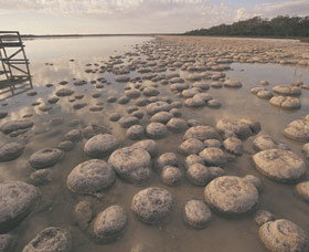 Yalgorup National Park - Accommodation Directory 0