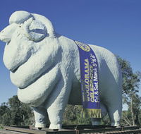 Giant Ram Tourist Park - Accommodation Directory