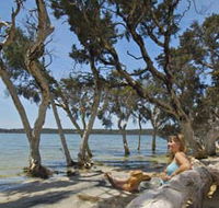 Stokes National Park - Accommodation Directory
