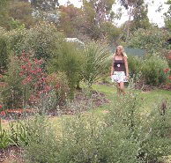 The Mythic Mazes - Accommodation Directory