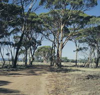 Lake Dumbleyung - Accommodation Directory