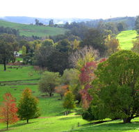 Golden Valley Tree Park - Accommodation Directory