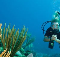 Coastal Water Dive - Accommodation Directory
