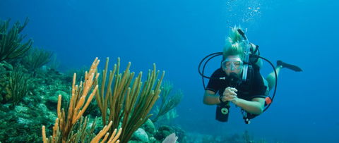 Coastal Water Dive - Accommodation Directory 0