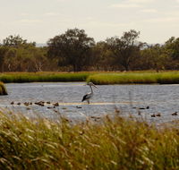 Anytime Adventures in Mandurah  the Peel Region - Accommodation Directory